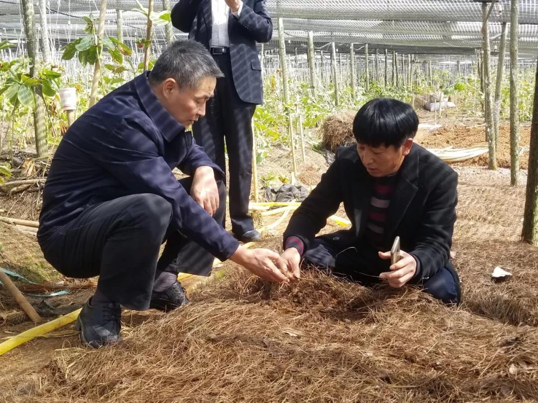 首页- 腾博官网诚信为本,专业服务!