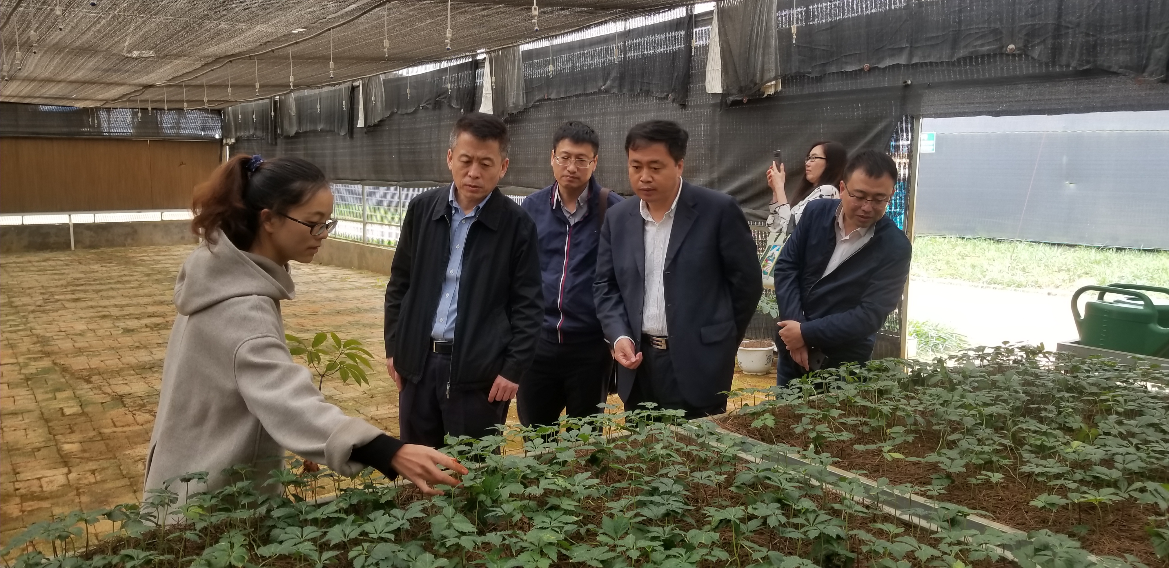 0EB99CD64D54D343155D8214095_A7E9D7F7_2B6604.jpg?e= 首页- 腾博官网诚信为本,专业服务!