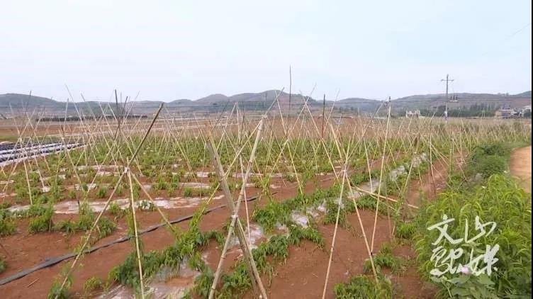 首页- 腾博官网诚信为本,专业服务!