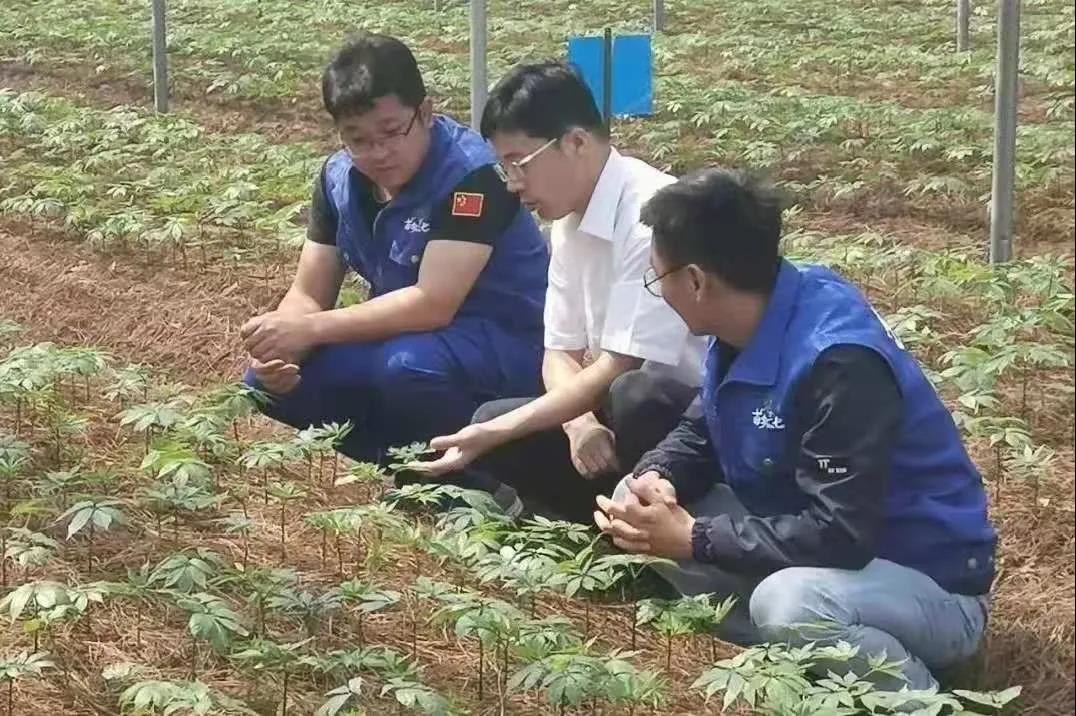 首页- 腾博官网诚信为本,专业服务!